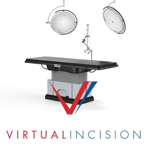Virtual Incision genesis